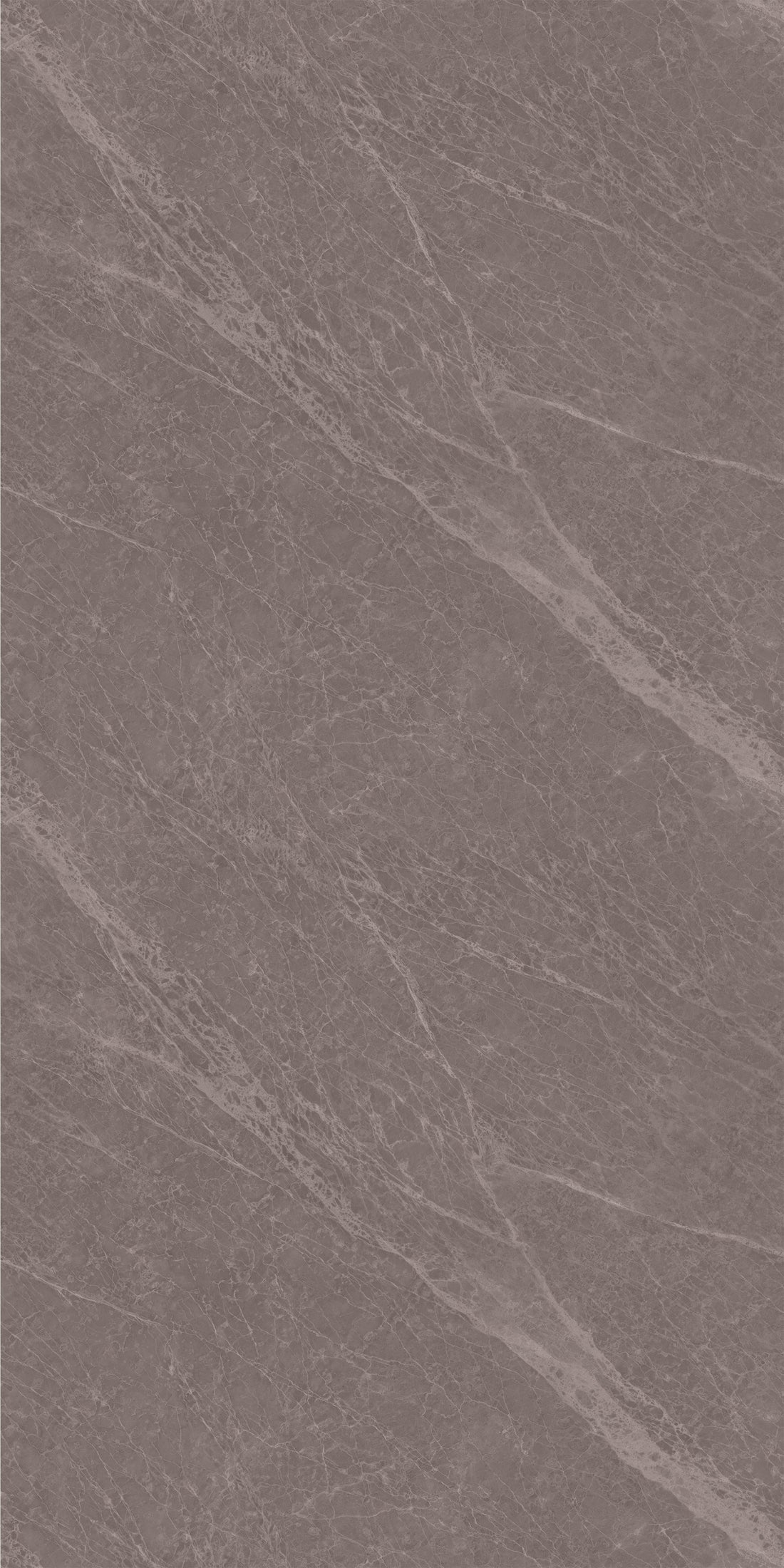 Silky Matte Café Cortado