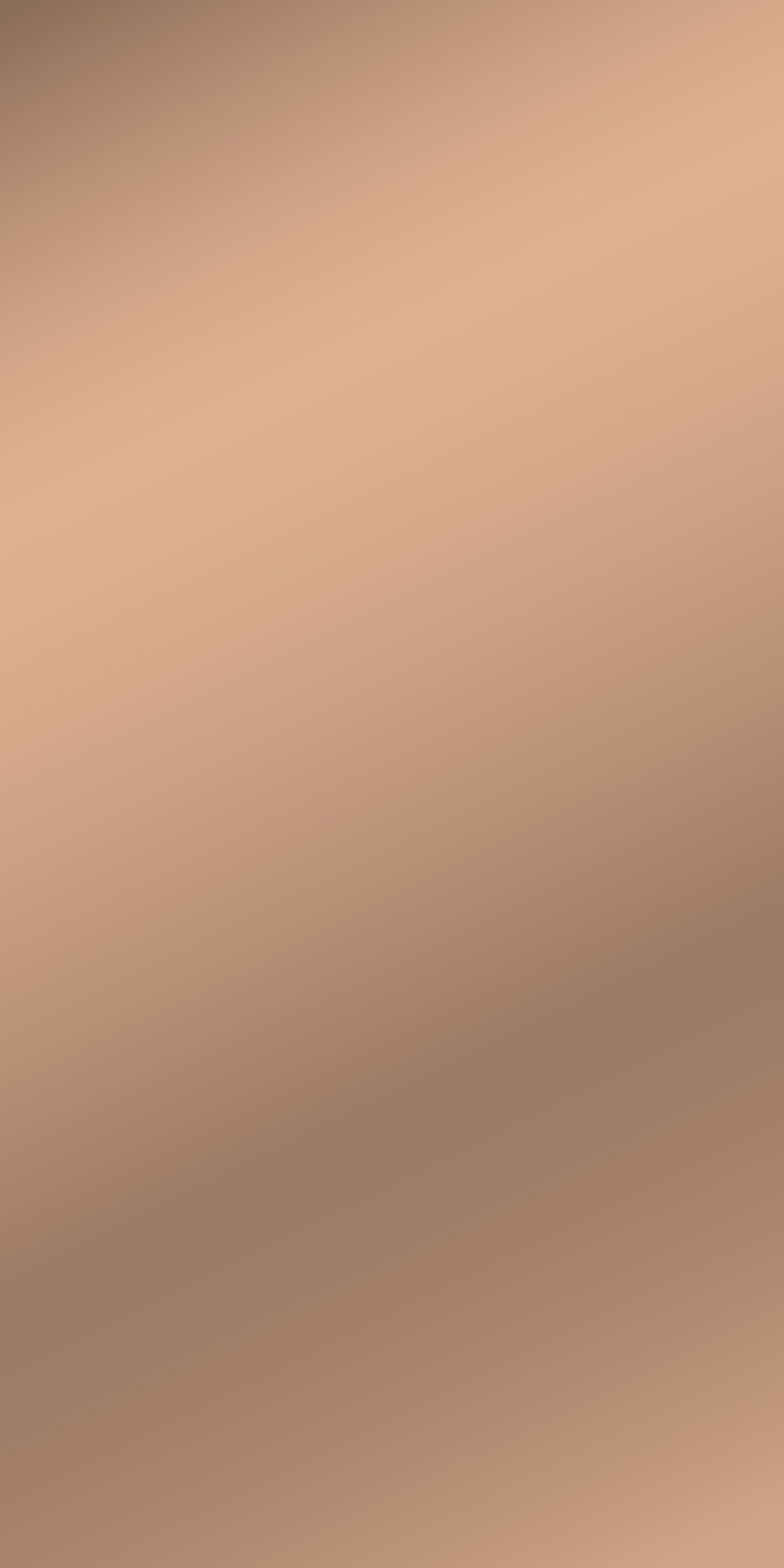 Aluminum Mirror Bronze