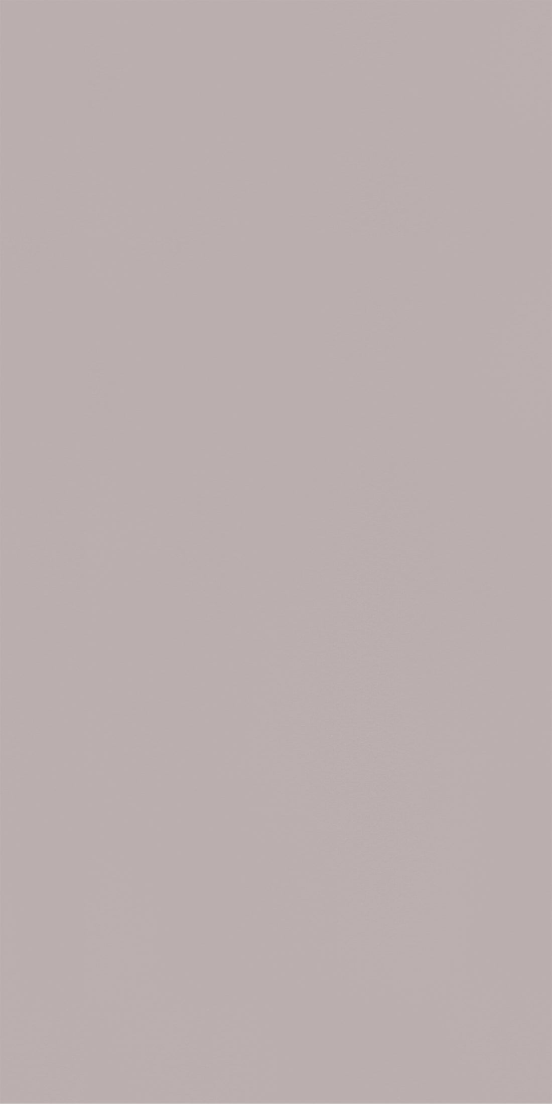 Eggshell Warm Gray
