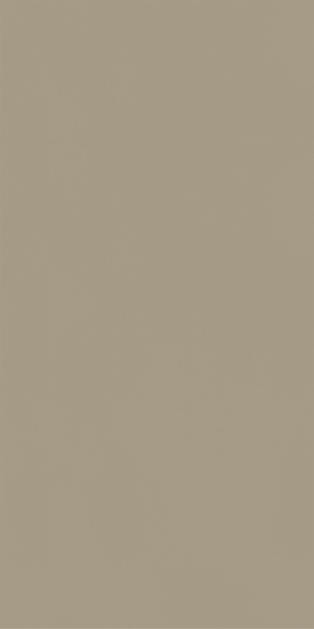 Eggshell Olive Gray