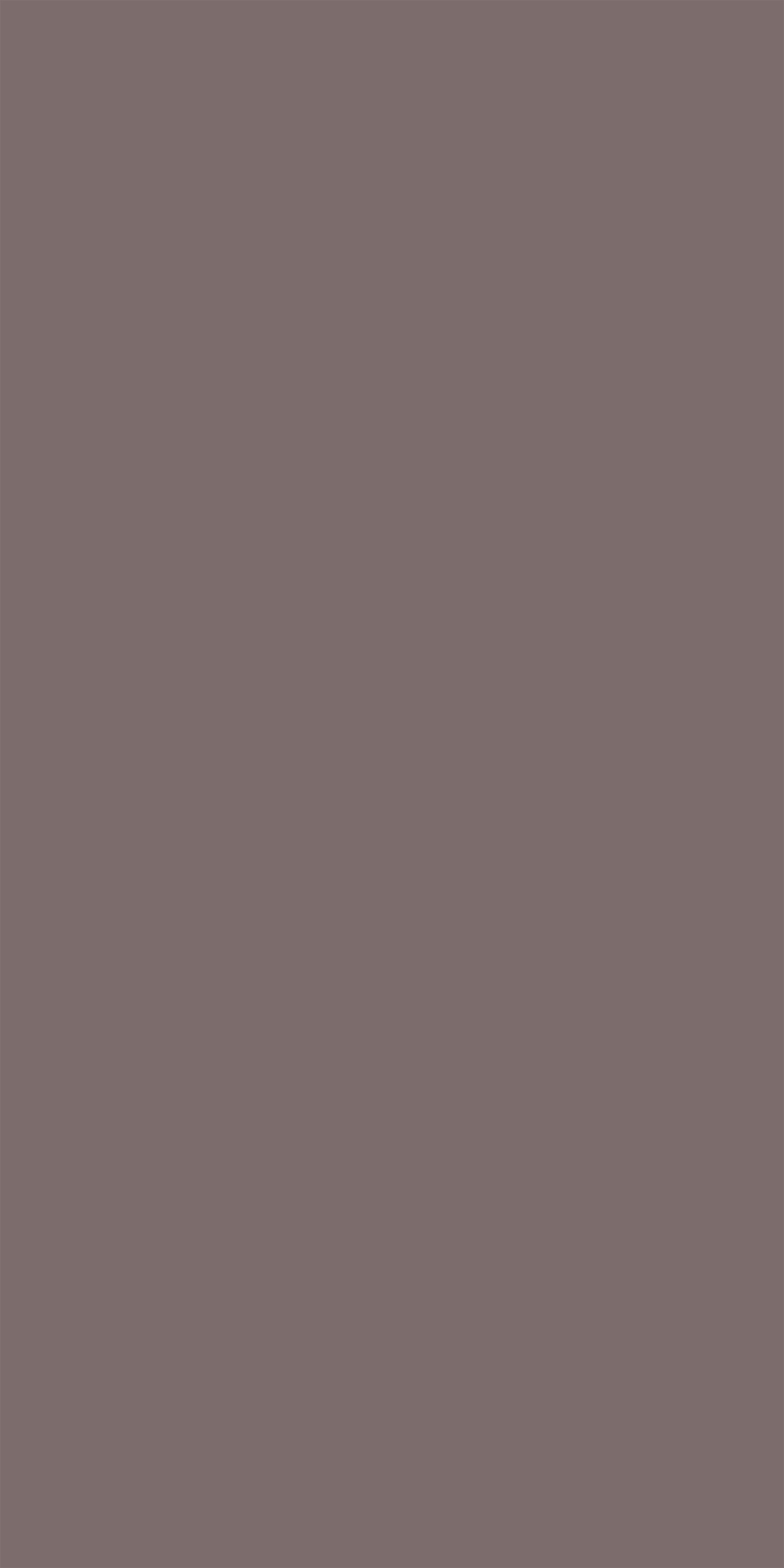 Silky Matte Taupe