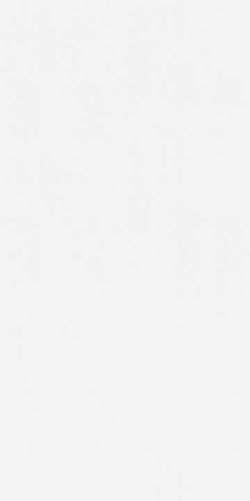 Eggshell Silver Snow